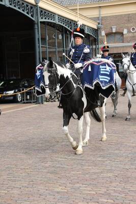 cee-paukenpaard